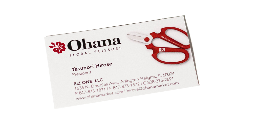 Biz One Logo/Identity